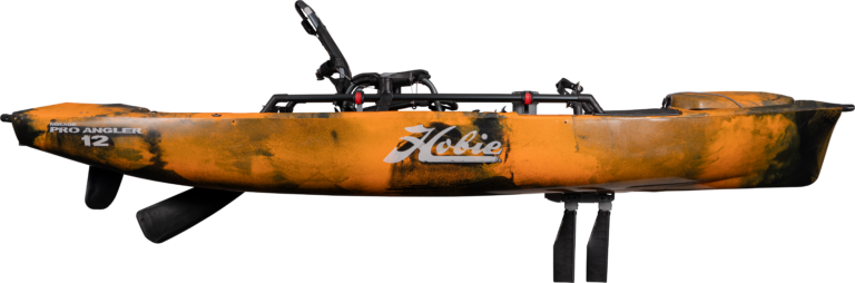 Pro Angler 12 with MD 180 Drive